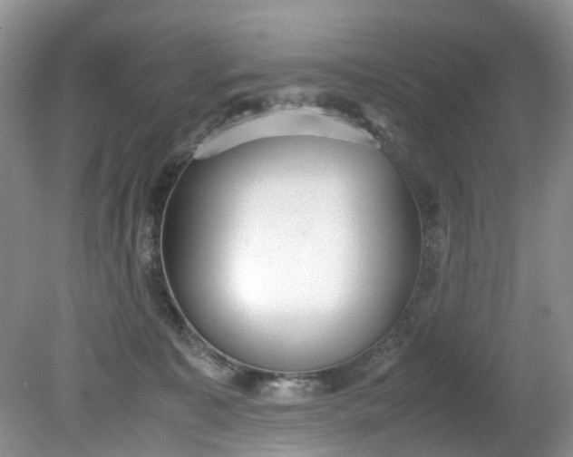 X0000079340323200612011940