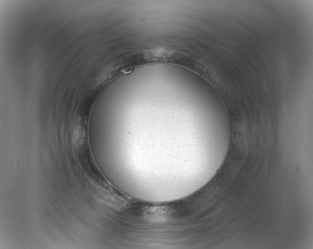 X0000079340324200612011940