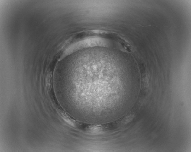 X0000079340325200612011940