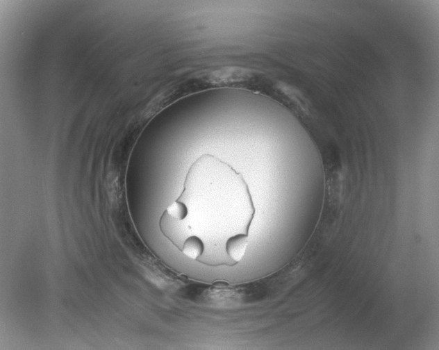 X0000079340327200612011940