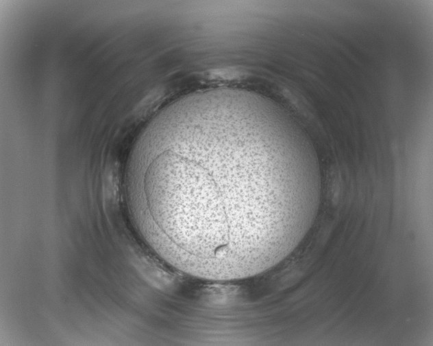 X0000079340328200612011940