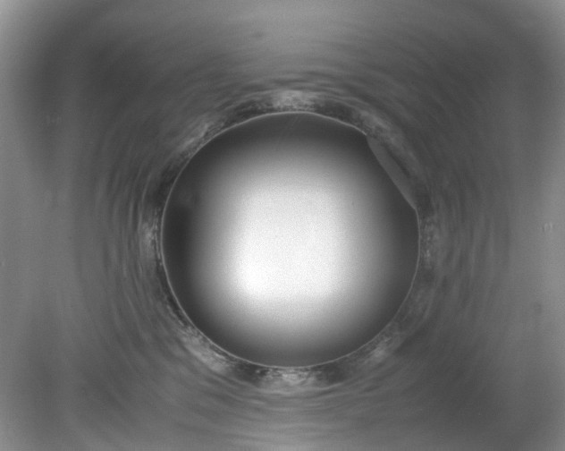 X0000079340329200612011940