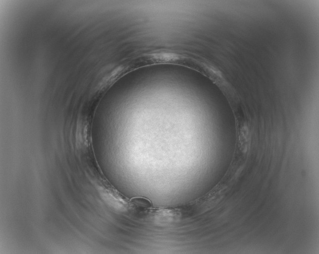 X0000079340330200612011940