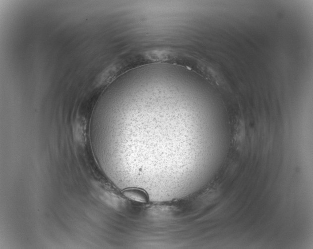 X0000079340332200612011940