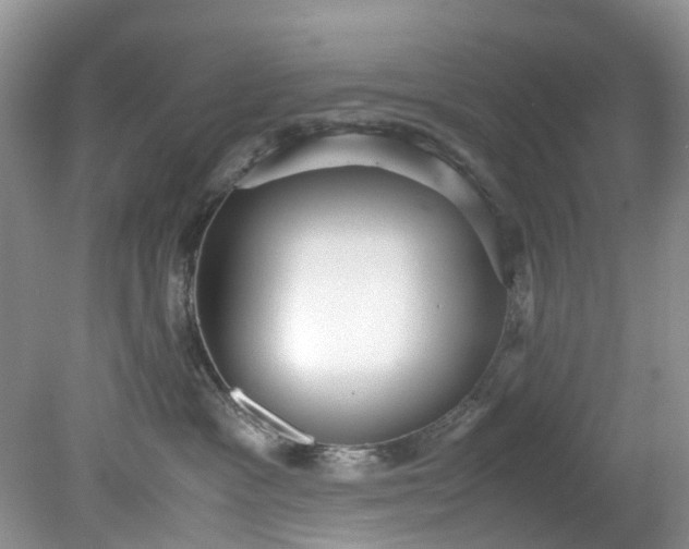 X0000079340333200612011940