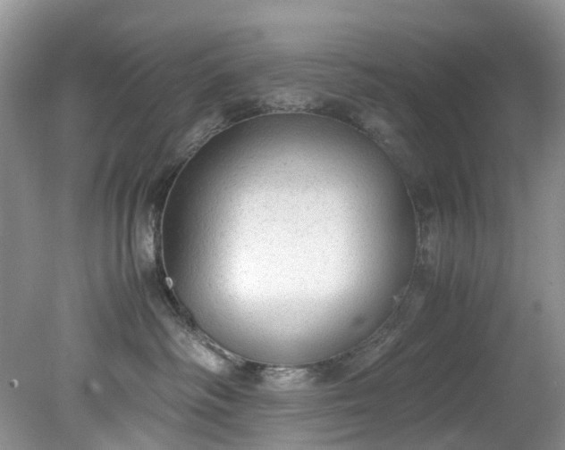 X0000079340334200612011940