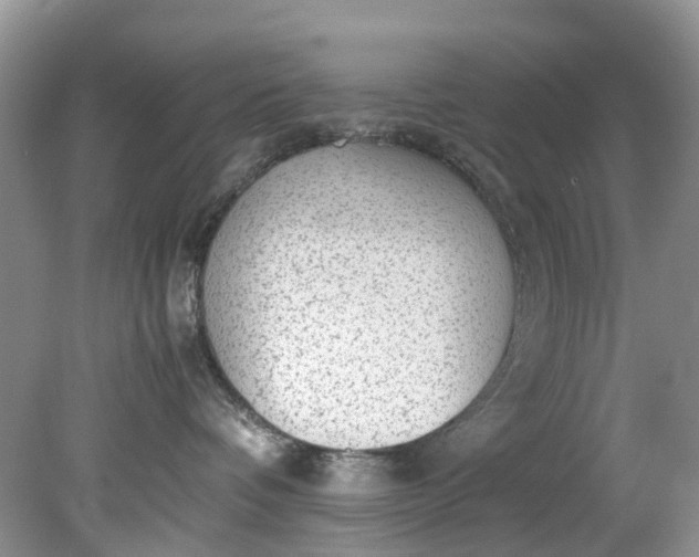 X0000079340336200612011940