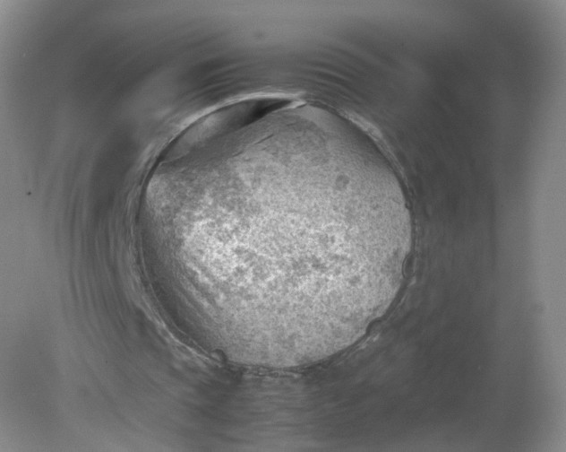 X0000079340337200612011939