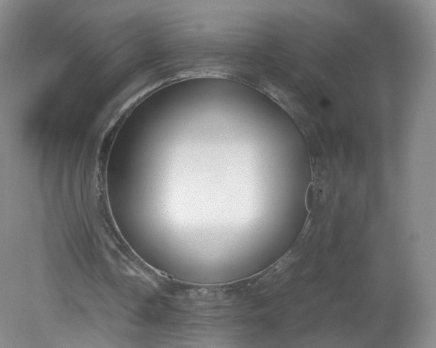 X0000079340338200612011939