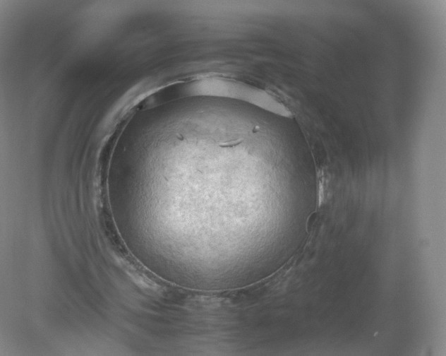 X0000079340339200612011939