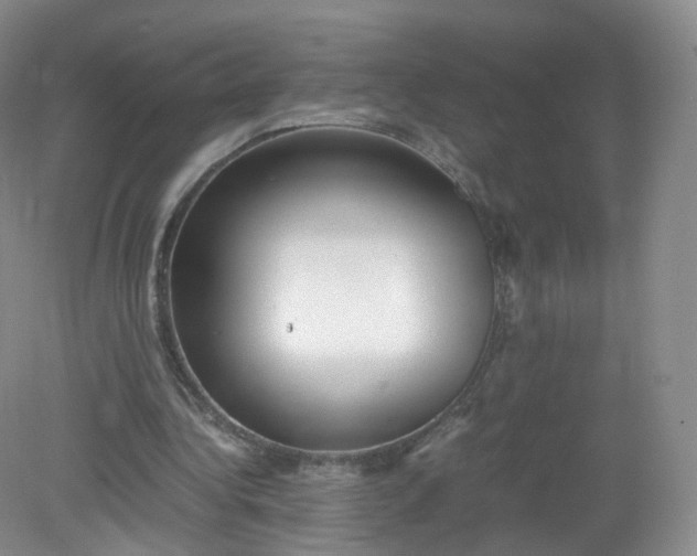 X0000079340340200612011939