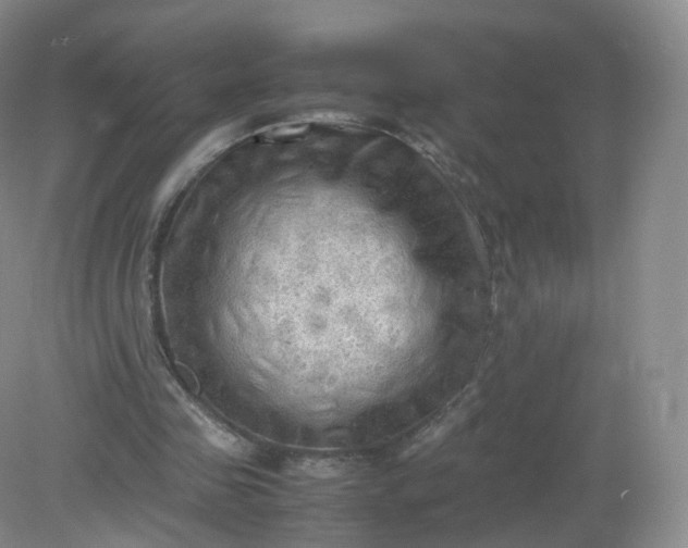 X0000079340341200612011939