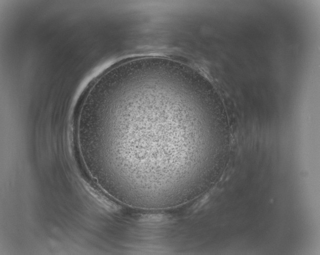 X0000079340342200612011939