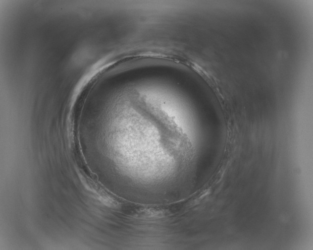 X0000079340343200612011939