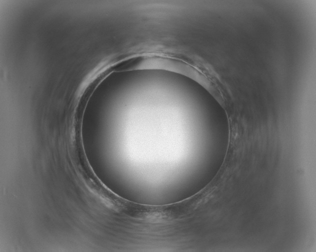 X0000079340344200612011939