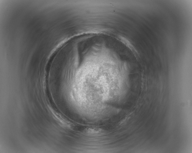 X0000079340346200612011939