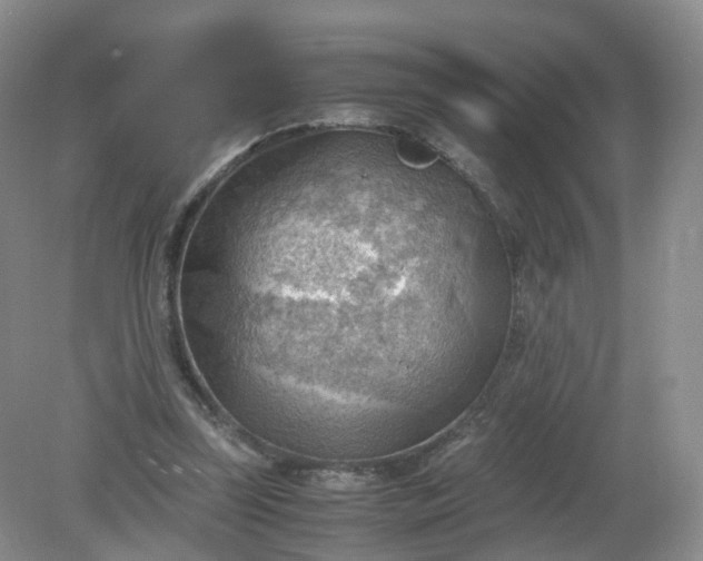 X0000079340347200612011939