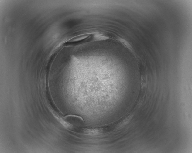 X0000079340349200612011939