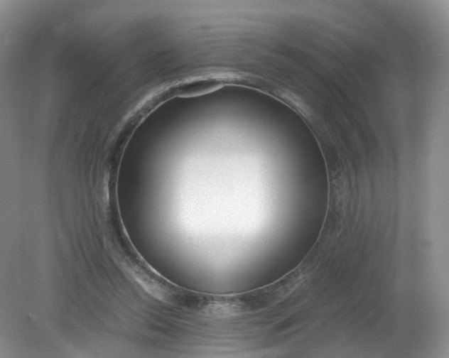 X0000079340350200612011939