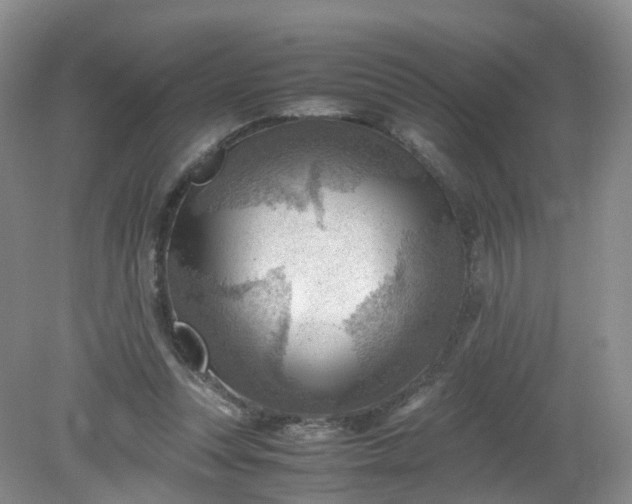 X0000079340351200612011940