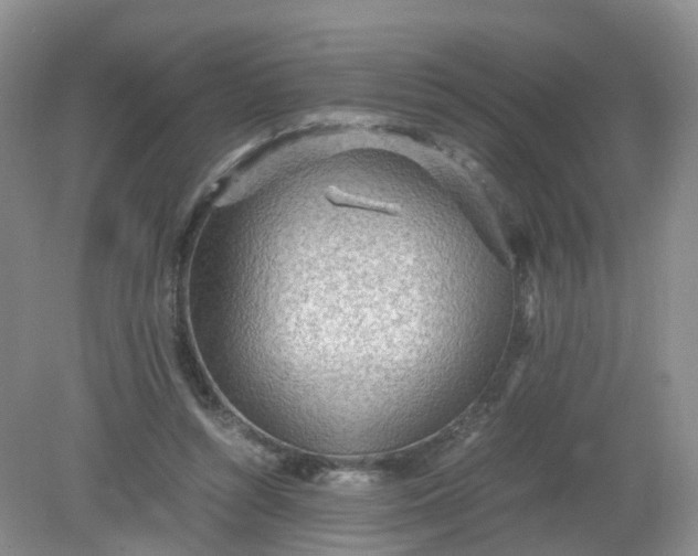 X0000079340352200612011940