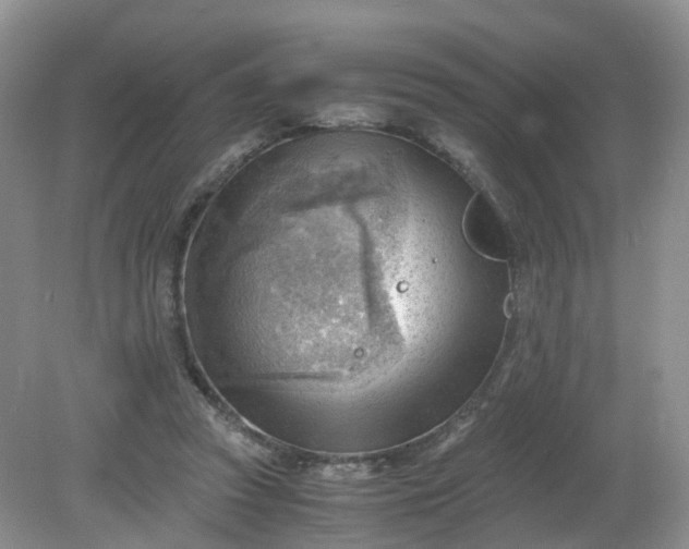 X0000079340353200612011940