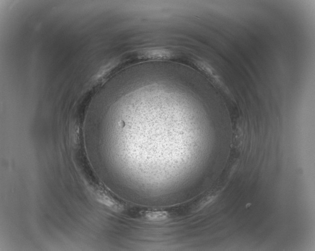 X0000079340355200612011940