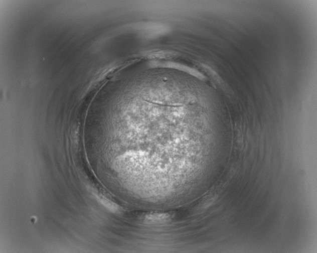 X0000079340357200612011940