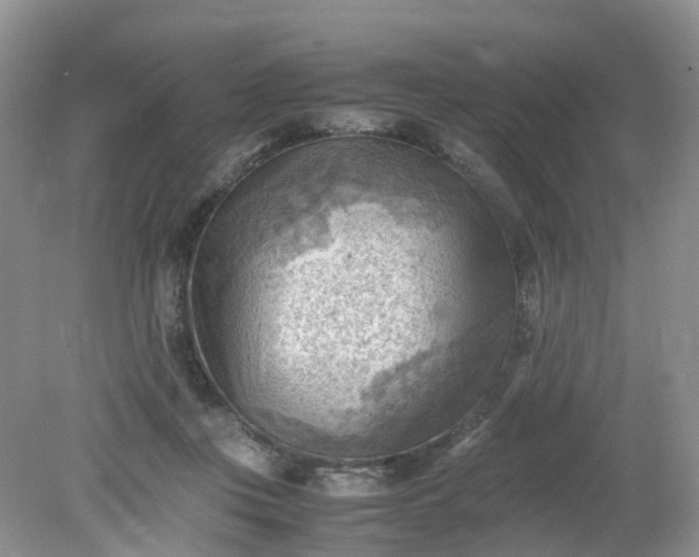 X0000079340359200612011940