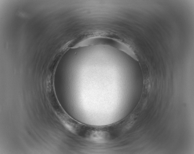 X0000079340360200612011940