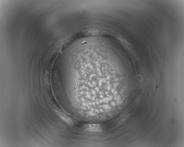 X0000079340361200612011940