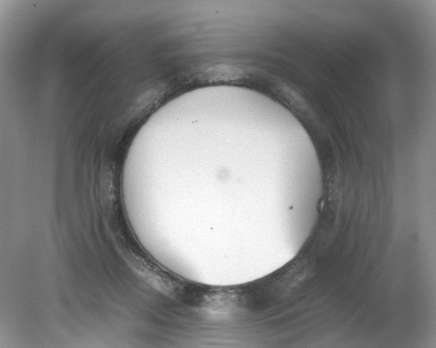 X0000079340362200612011940