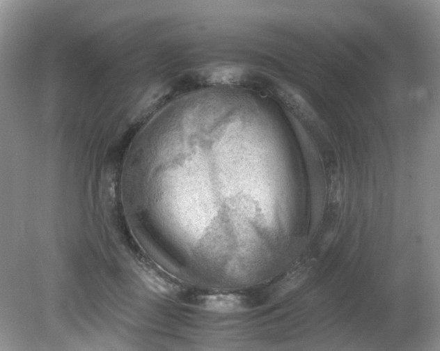 X0000079340363200612011940