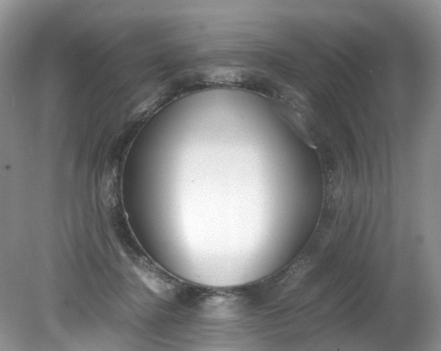 X0000079340364200612011940