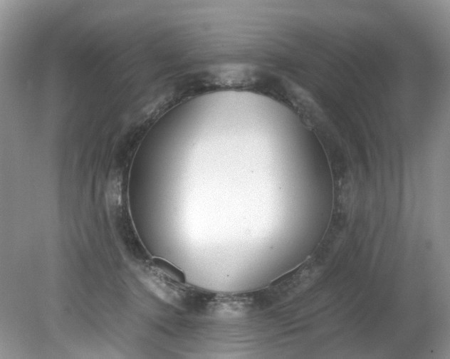 X0000079340368200612011940