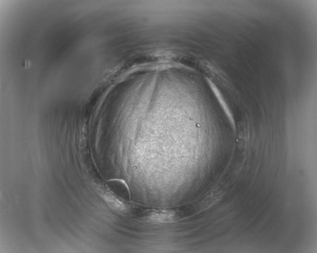 X0000079340369200612011940