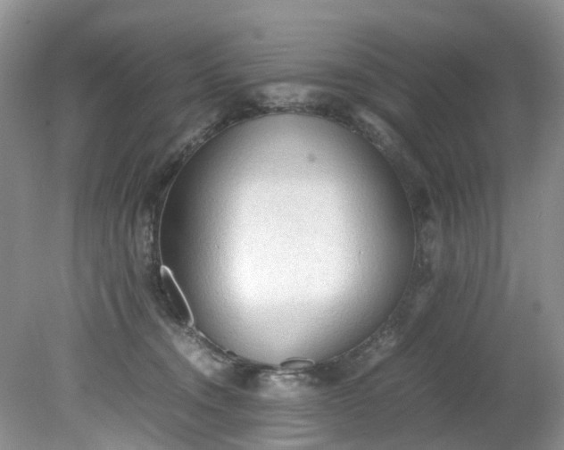 X0000079340372200612011940