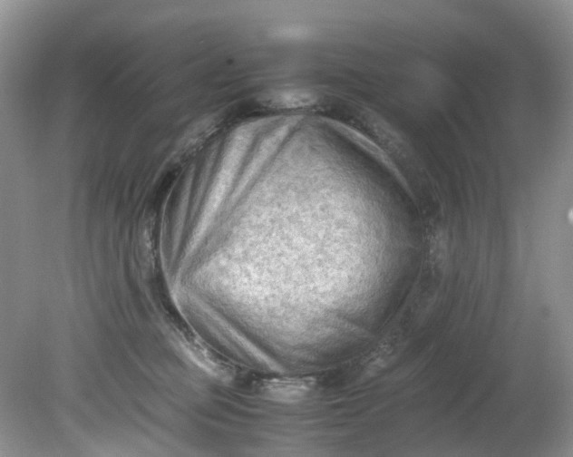 X0000079340373200612011940