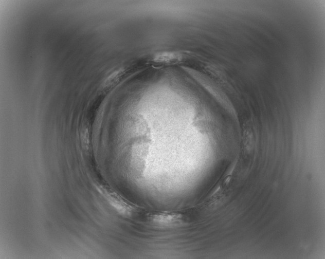 X0000079340375200612011940