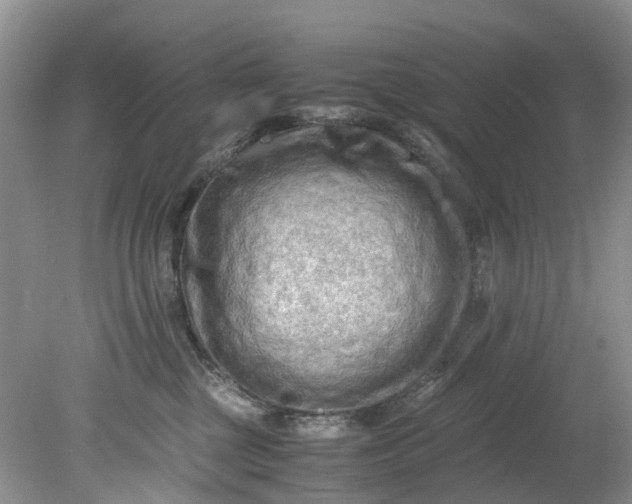 X0000079340377200612011940