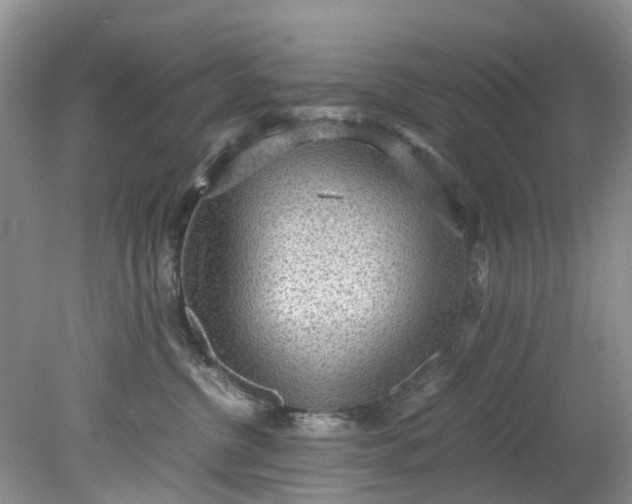 X0000079340380200612011940