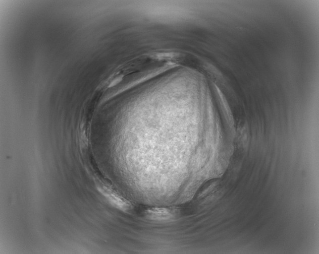 X0000079340381200612011940