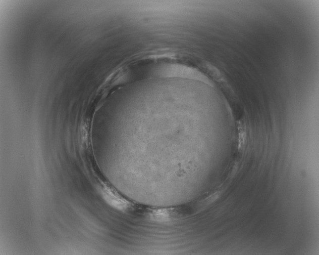 X0000079340382200612011940