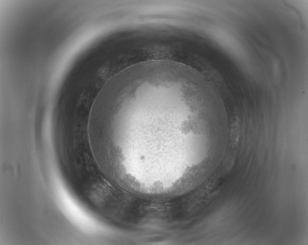 X0000079340383200612011940