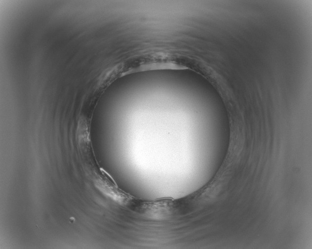 X0000079340384200612011940