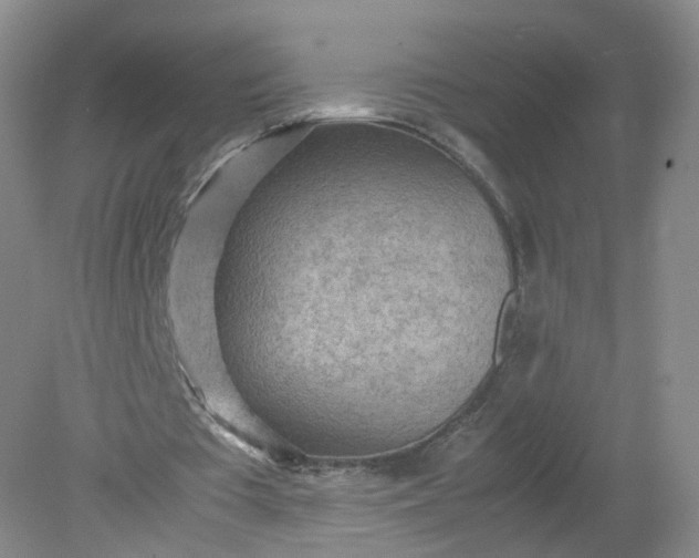 X0000079340385200612011939