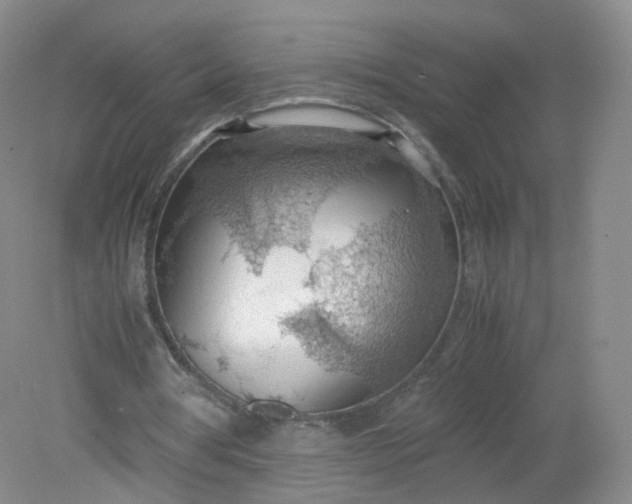 X0000079340386200612011939