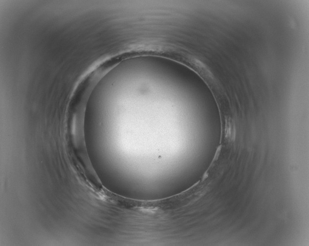 X0000079340388200612011939