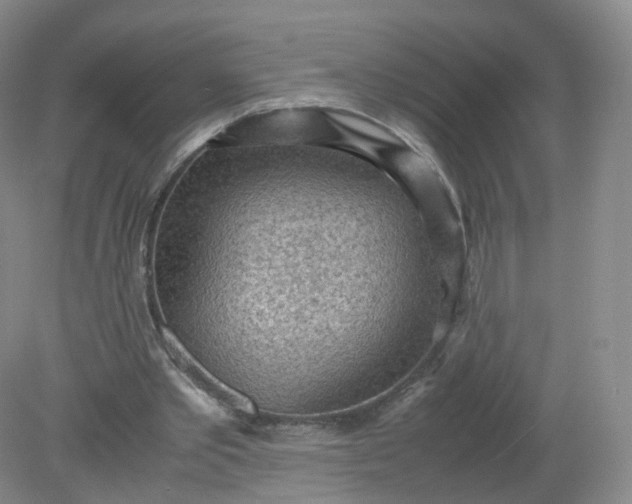 X0000079340389200612011939