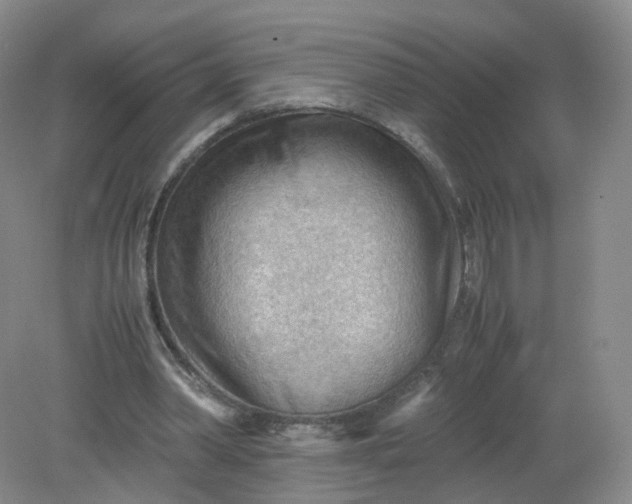 X0000079340390200612011939